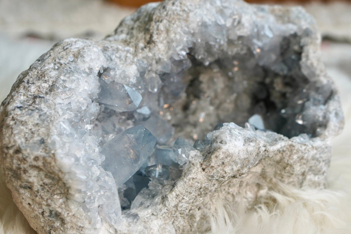 Celestite Geode - 1730 - Starseed Collective