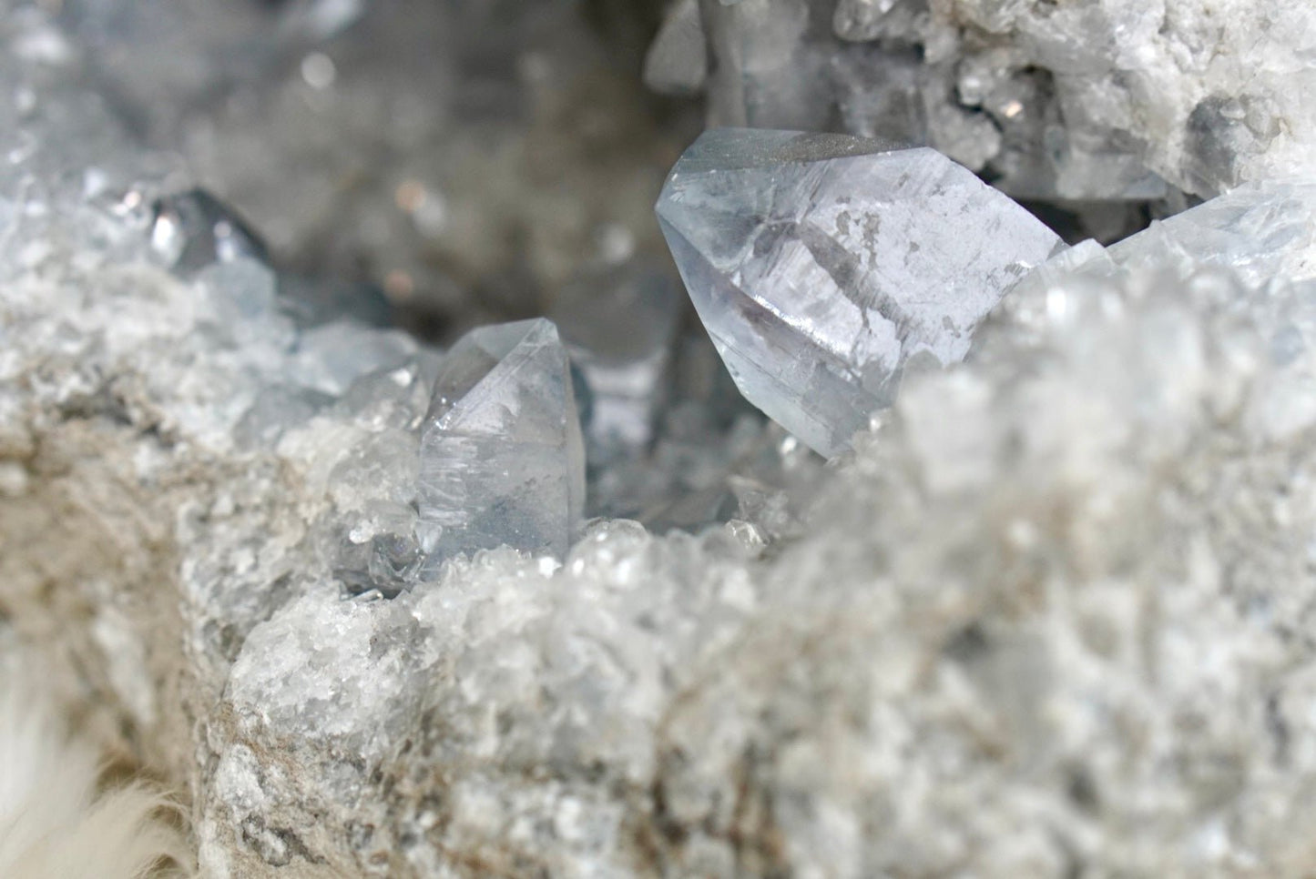 Celestite Geode - 1730 - Starseed Collective