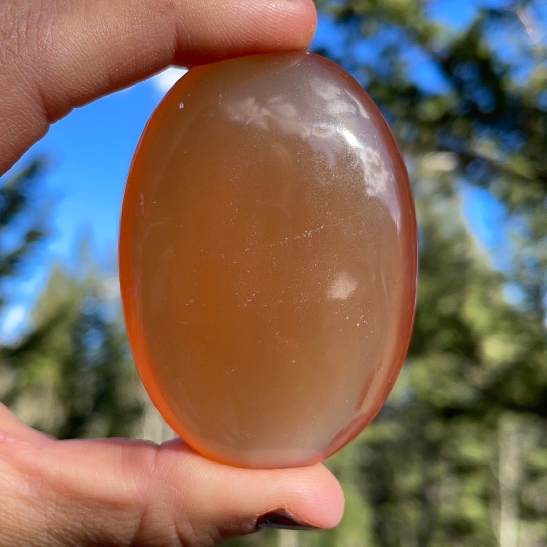 Honey Calcite Palm - 13 - Starseed Collective