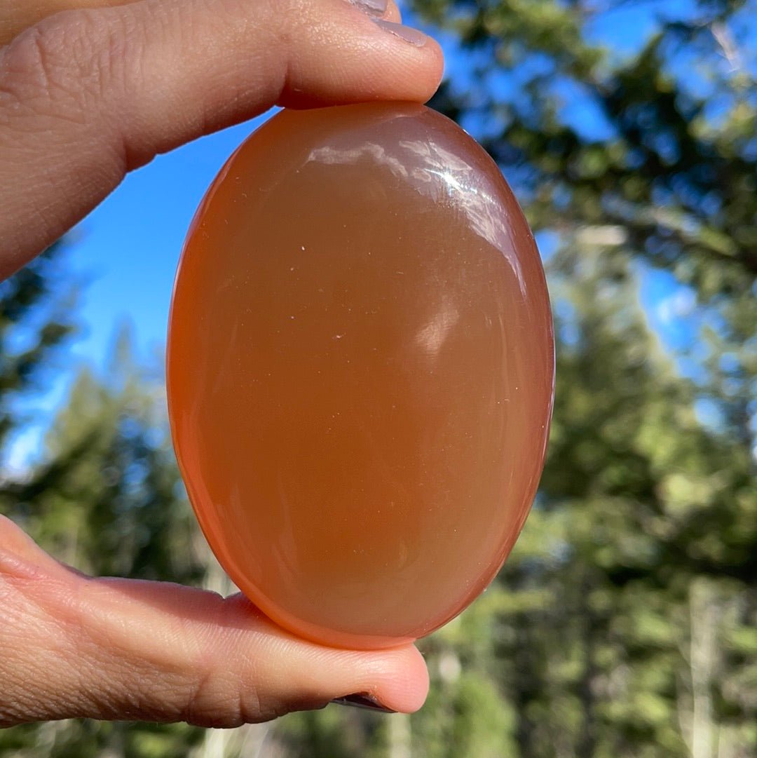 Honey Calcite Palm - 20 - Starseed Collective