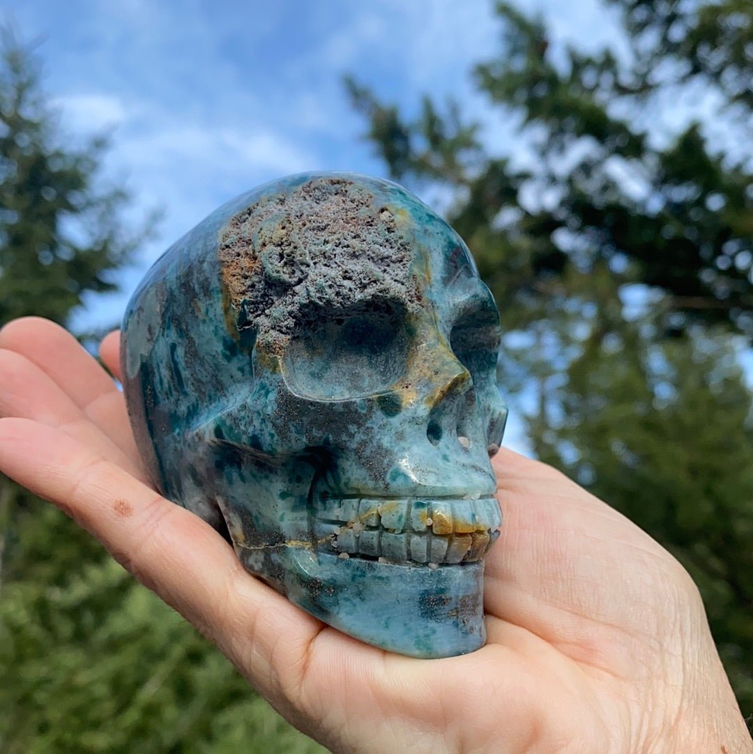 Ocean Jasper Skull - 280 - Starseed Collective