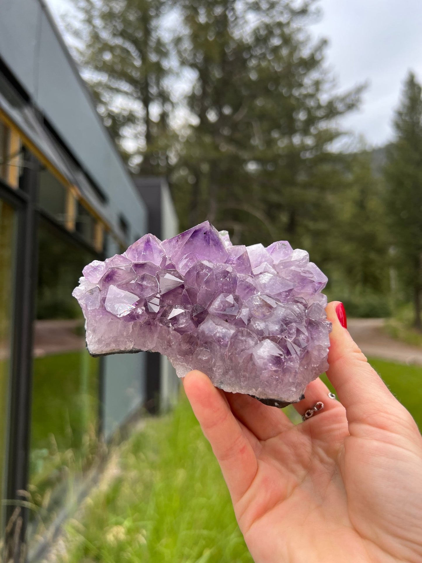 Purple Amethyst Cluster - 52B - Starseed Collective