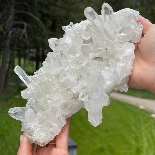 Clear Quartz Cluster - 751 - Starseed Collective