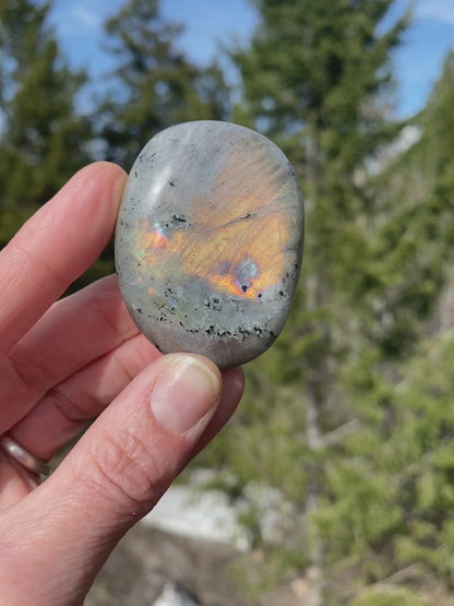 Purple Labradorite Palm - 12B
