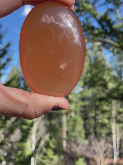 Honey Calcite Palm - 20