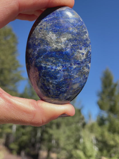 Lapis Lazuli Palm - 29