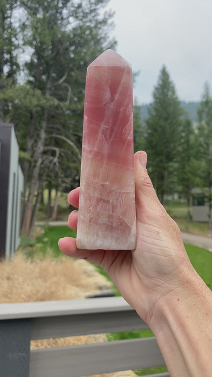 Rose Caclite Tower - 79