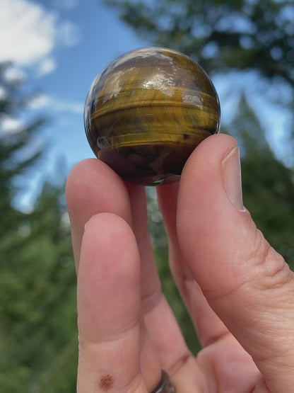 Tiger's Eye Sphere - 18A