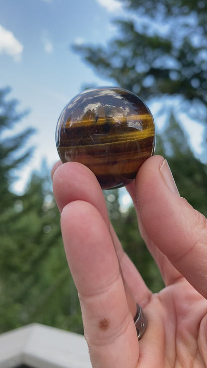 Tiger's Eye Sphere - 24