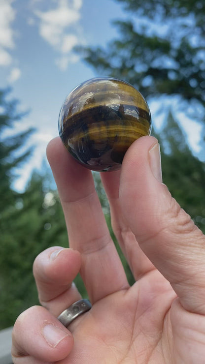 Tiger's Eye Sphere - 20B