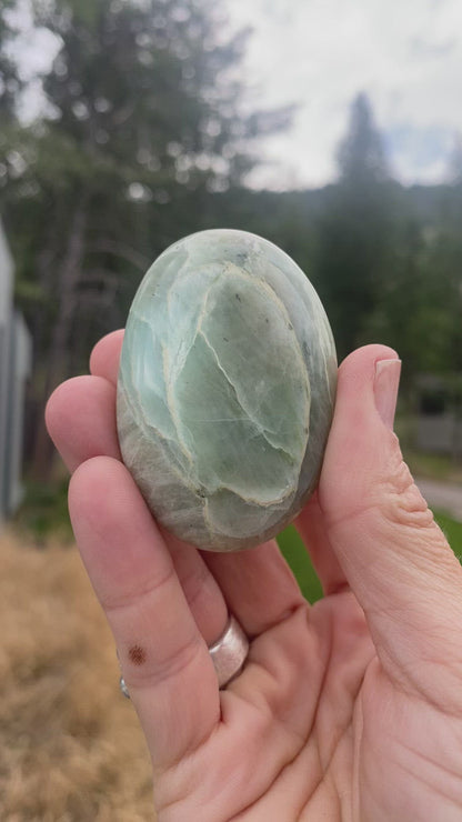 Green Garnierite Palm - 10