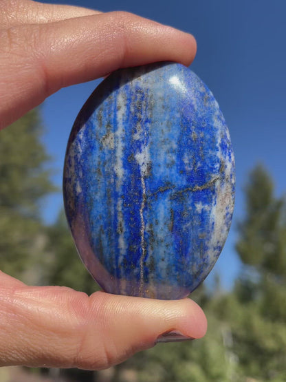 Lapis Lazuli Palm - 19