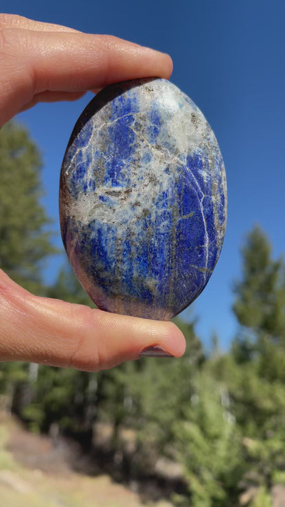 Lapis Lazuli Palm - 25