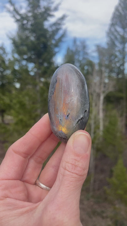 Purple Labradorite Palm - 18
