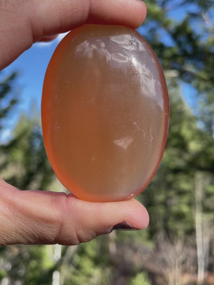 Honey Calcite Palm - 13
