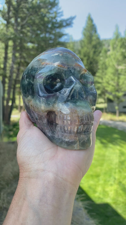 Rainbow Fluorite Skull - 486