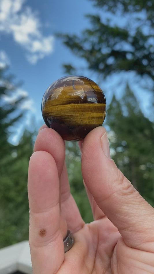 Tiger's Eye Sphere - 18C
