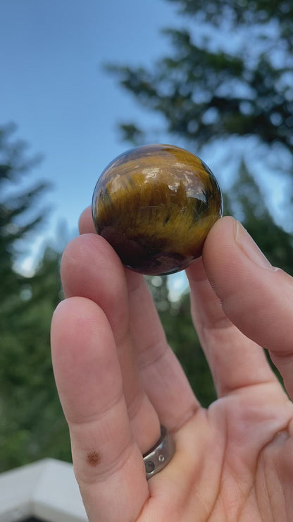 Tiger's Eye Sphere - 17B