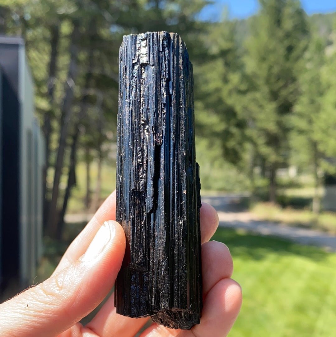 Black Tourmaline with Mica Free Form - 18A - Starseed Collective