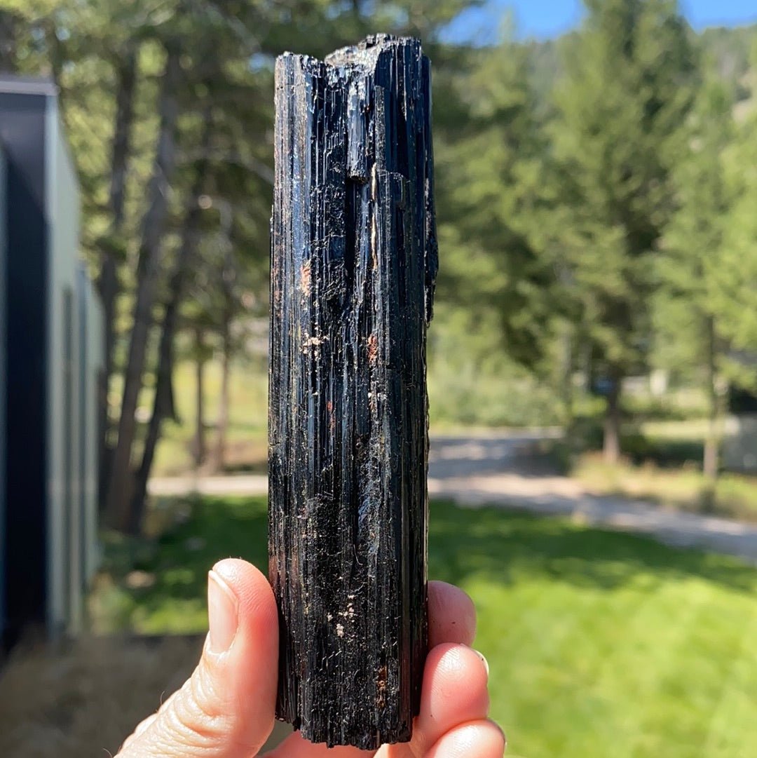 Black Tourmaline with Mica Free Form - 20A - Starseed Collective