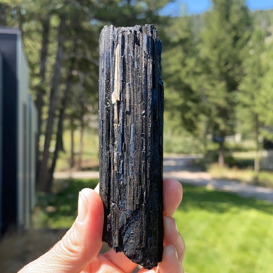 Black Tourmaline with Mica Free Form - 20B - Starseed Collective