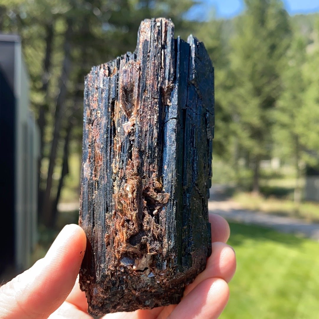 Black Tourmaline with Mica Free Form - 33 - Starseed Collective