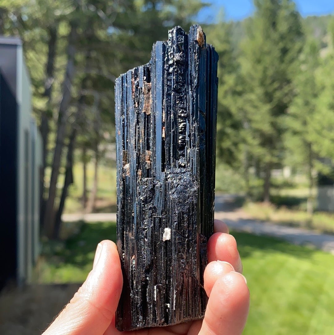 Black Tourmaline with Mica Free Form - 34 - Starseed Collective