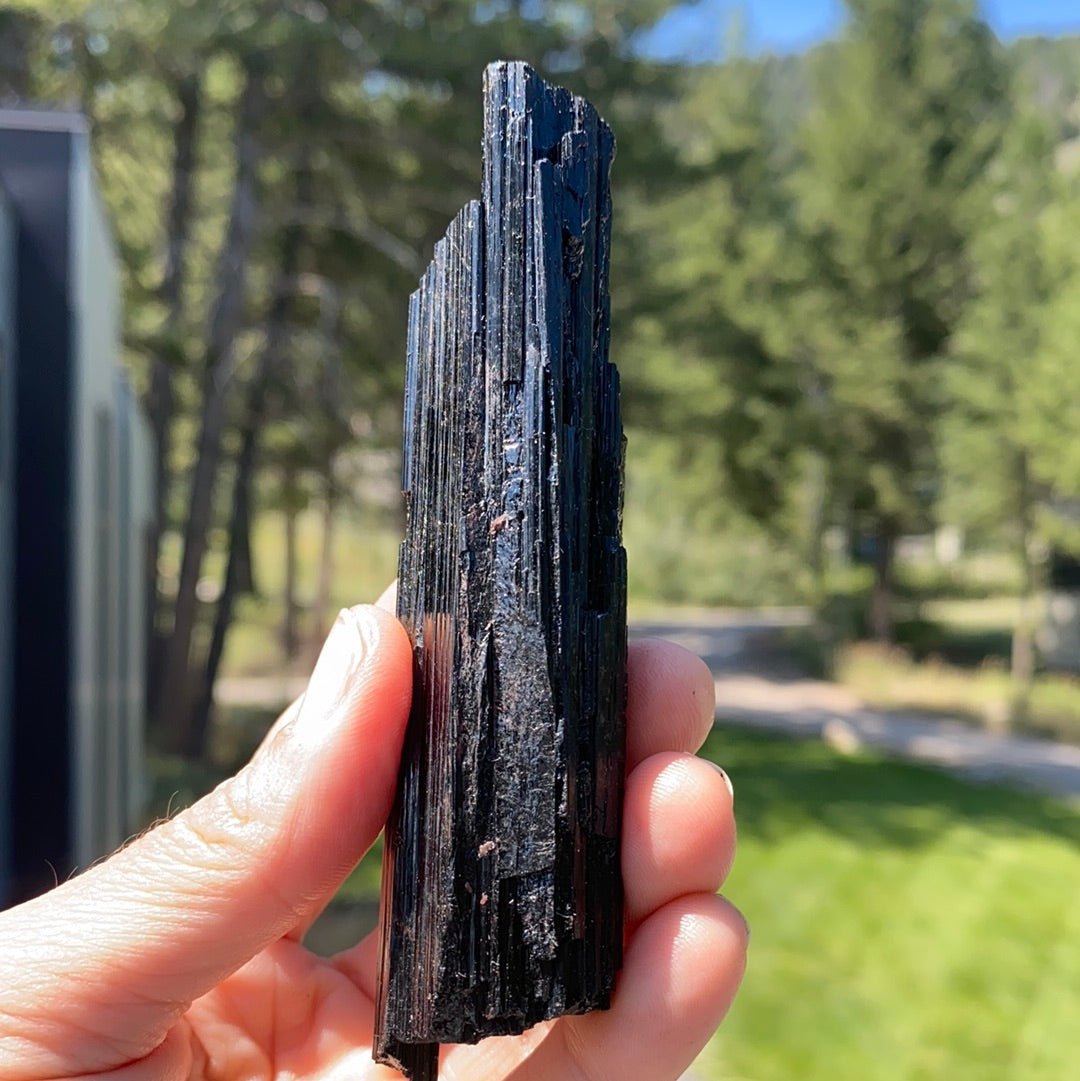 Black Tourmaline with Mica Free Form - 8 - Starseed Collective