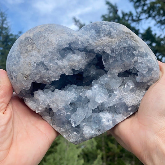Blue Celestite Geode - 454 - Starseed Collective
