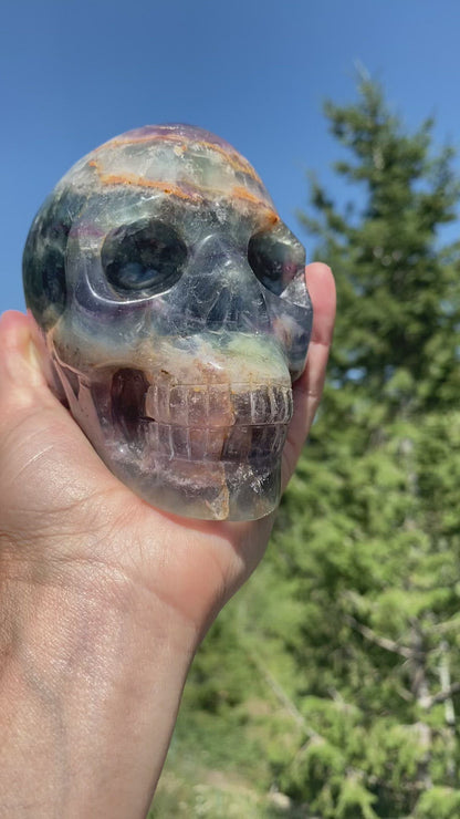 Rainbow Fluorite Skull - 486