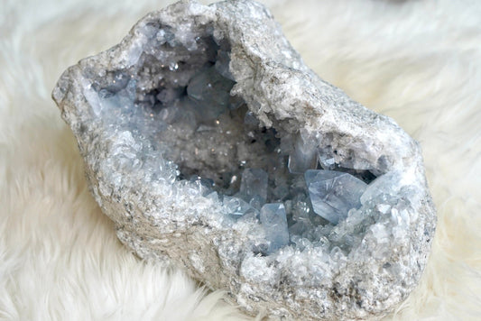 Celestite Geode - 1730 - Starseed Collective