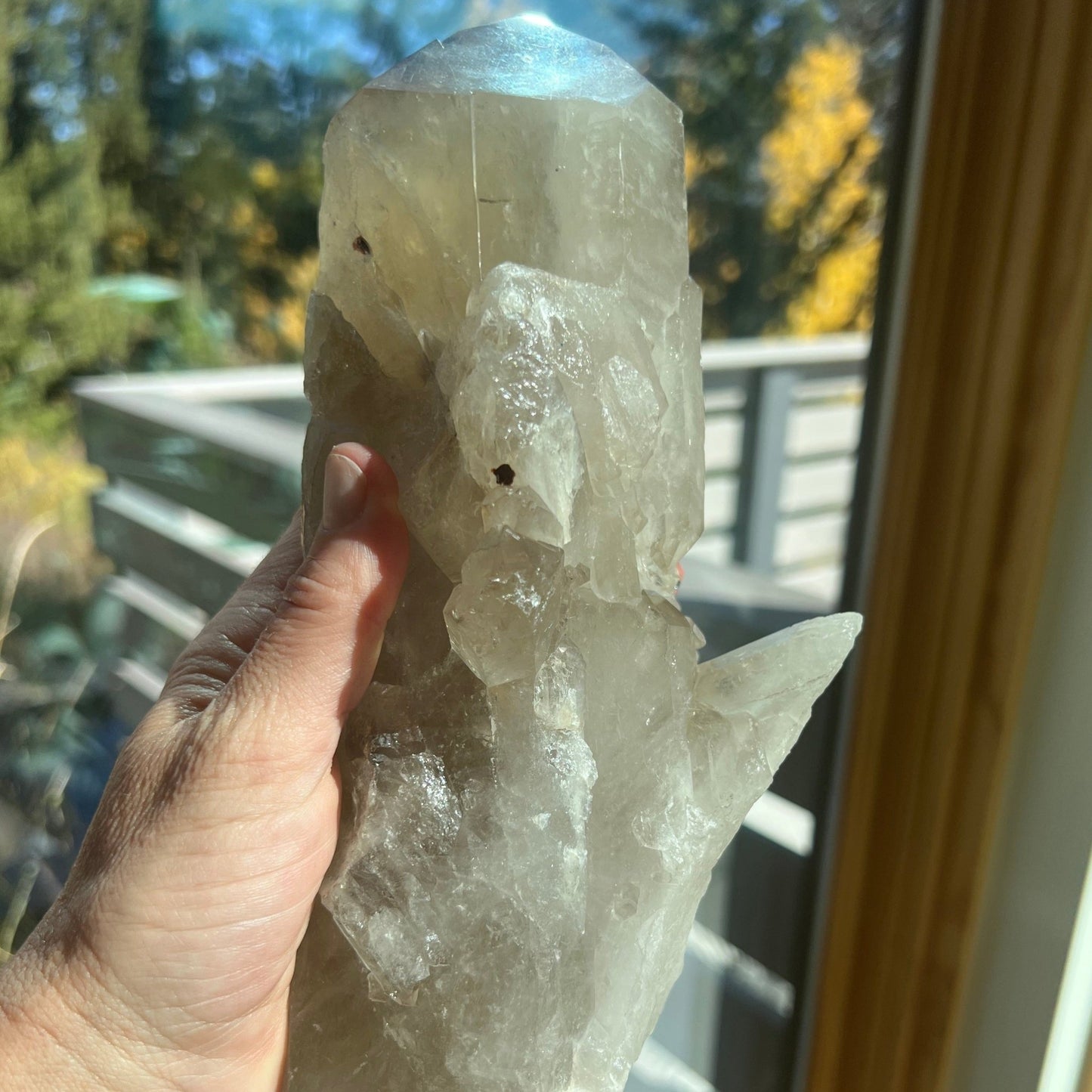 Citrine Lemurian Free Form - 1003 - Starseed Collective