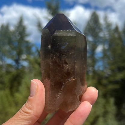 Citrine Lemurian Point - 229A - Starseed Collective