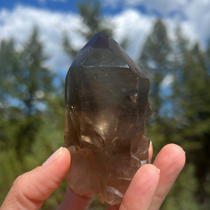 Citrine Lemurian Point - 229A - Starseed Collective