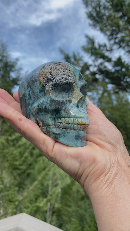 Ocean Jasper Skull - 280