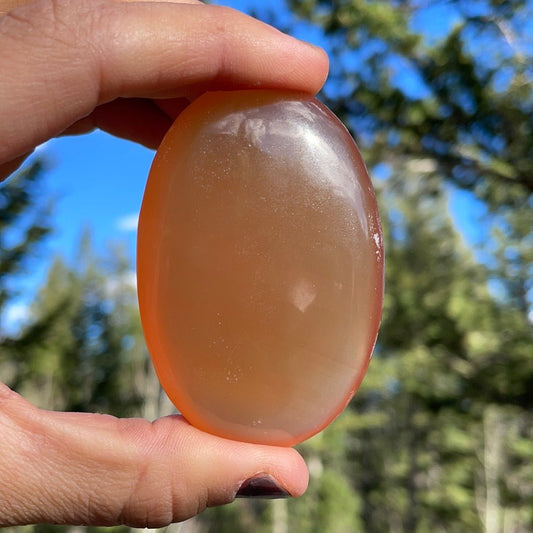 Honey Calcite Palm - 12 - Starseed Collective