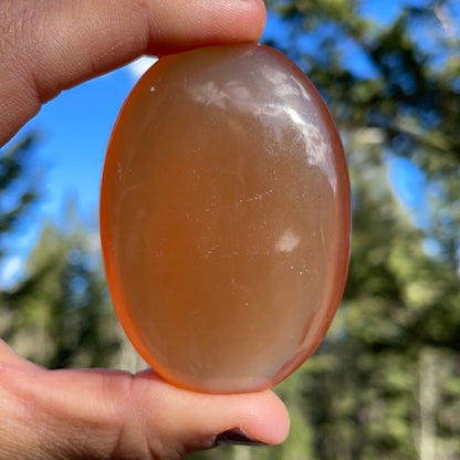 Honey Calcite Palm - 13 - Starseed Collective