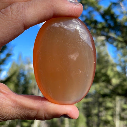 Honey Calcite Palm - 13 - Starseed Collective