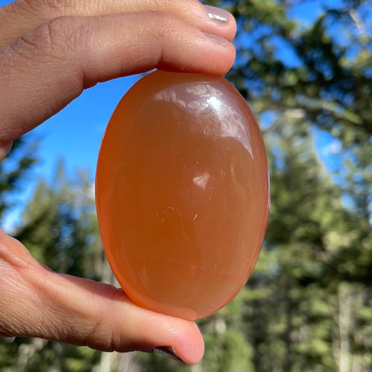 Honey Calcite Palm - 20 - Starseed Collective