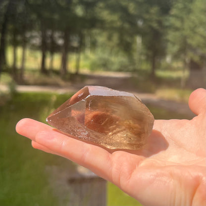 Lemurian Citrine Free Form - 94