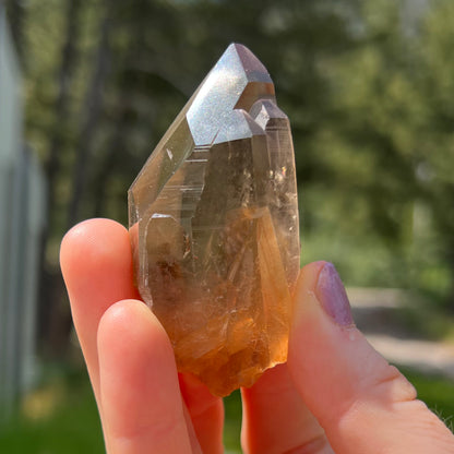Citrine Lemurian Point - 72E