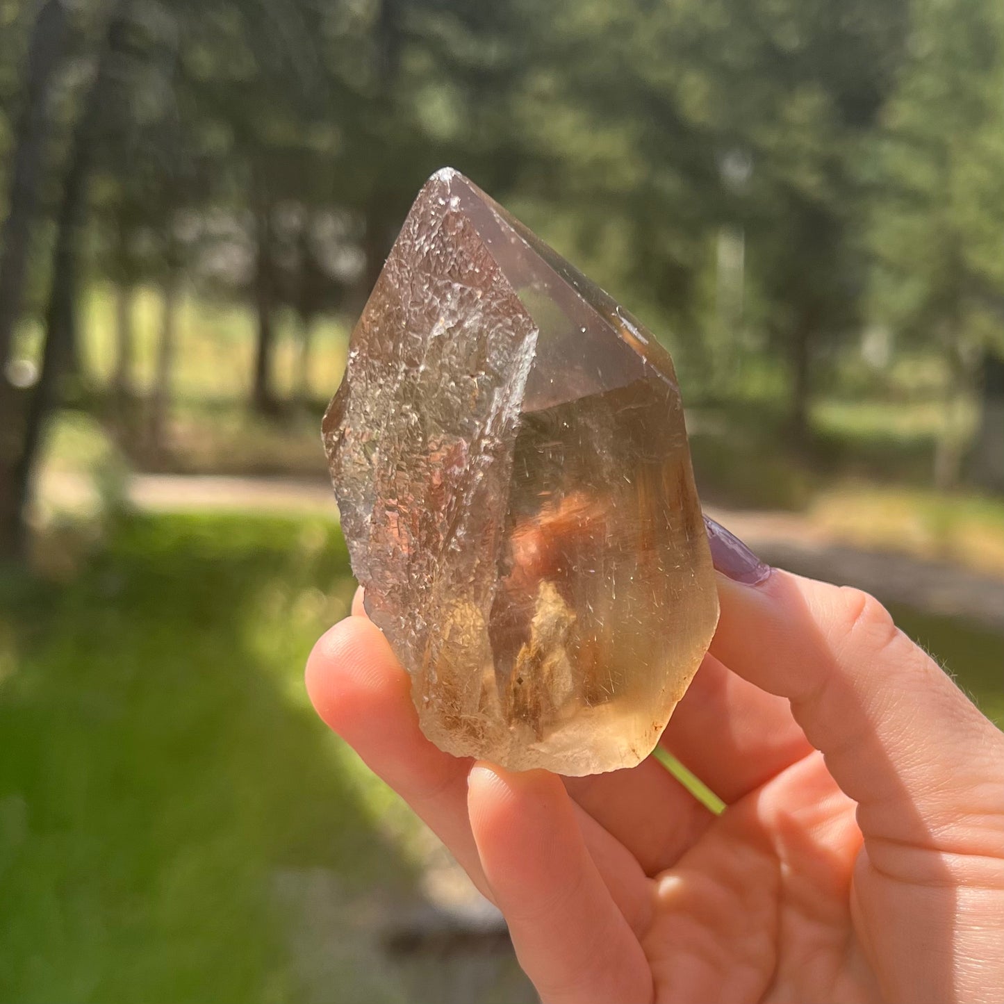Lemurian Citrine Free Form - 94