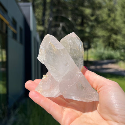 Clear Lemurian Cluster - 77