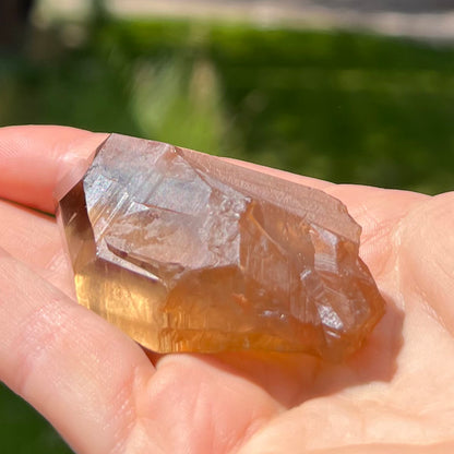 Citrine Lemurian Point - 72E