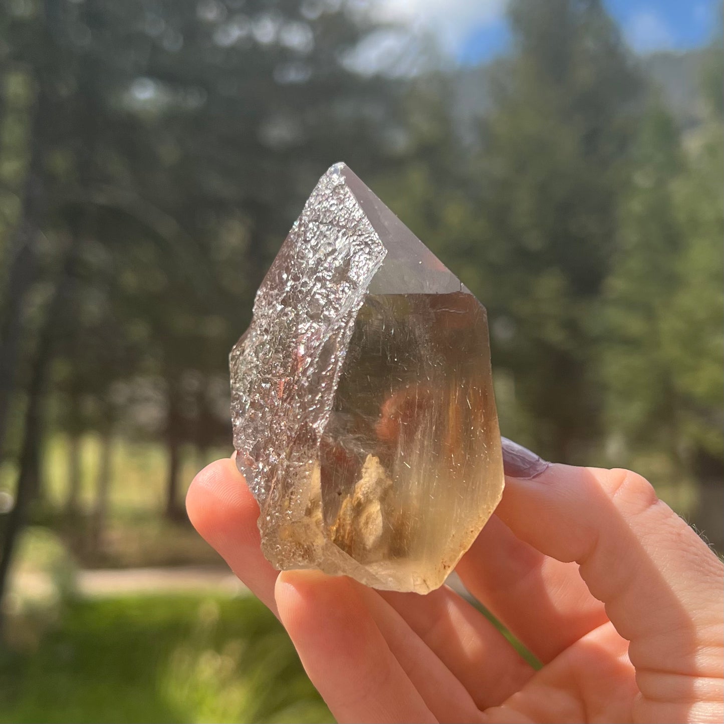 Lemurian Citrine Free Form - 94