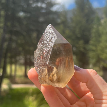 Lemurian Citrine Free Form - 94