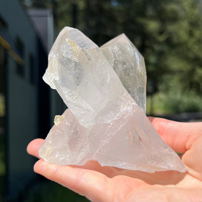 Clear Lemurian Cluster - 77