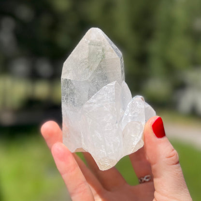 Clear Lemurian Cluster - 63