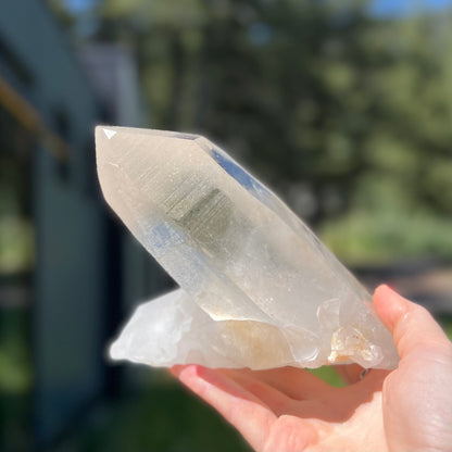 Clear Lemurian Cluster - 175