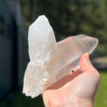 Clear Lemurian Cluster - 175